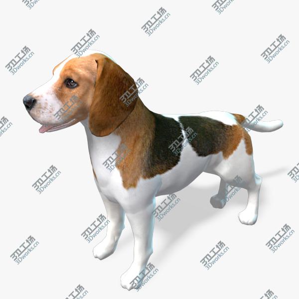 images/goods_img/2021040232/Real-Time Dog Beagle/1.jpg